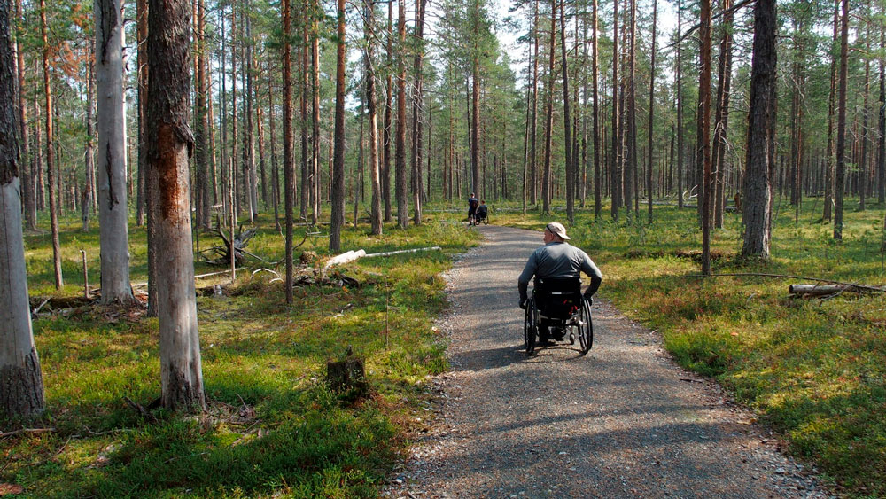 Pyörätuolinkäyttäjä esteettömällä luontoreitillä.