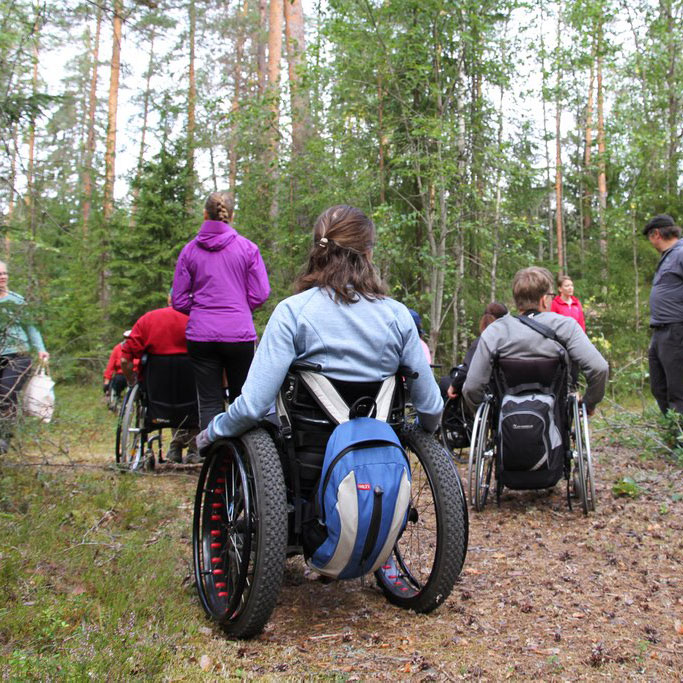 Henkilöitä maastopyörätuoleissa metsässä liikkumassa.